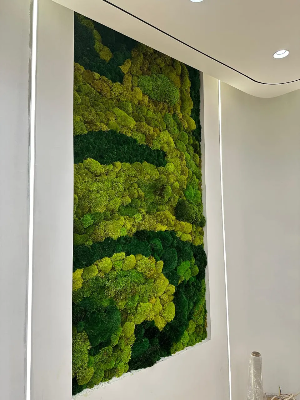 jual moss wall bekasi